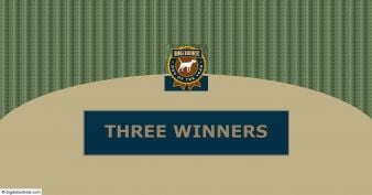 Big Duke Dog of the Year Contest